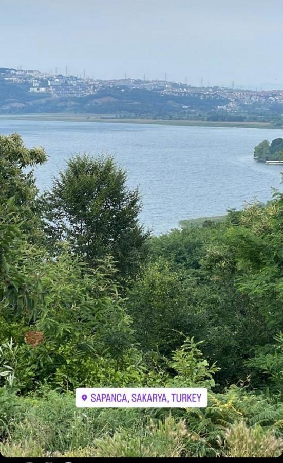 Sapanca Manzara Villa 1 Isitma Havuzlu 외부 사진